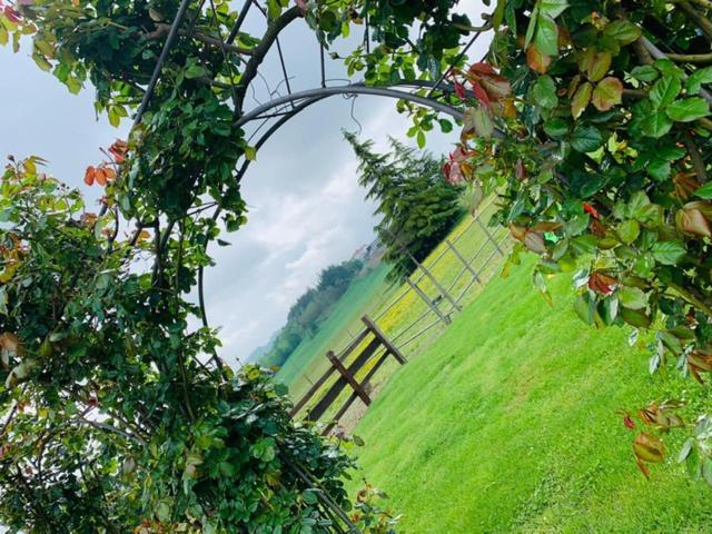 Agriturismo Cascina Smeralda Villa Pontestura Eksteriør billede