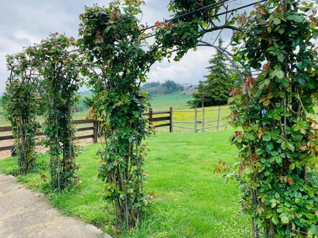 Agriturismo Cascina Smeralda Villa Pontestura Eksteriør billede